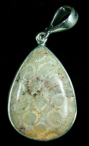 Fossil Coral Pendant - Sterling Silver #6019